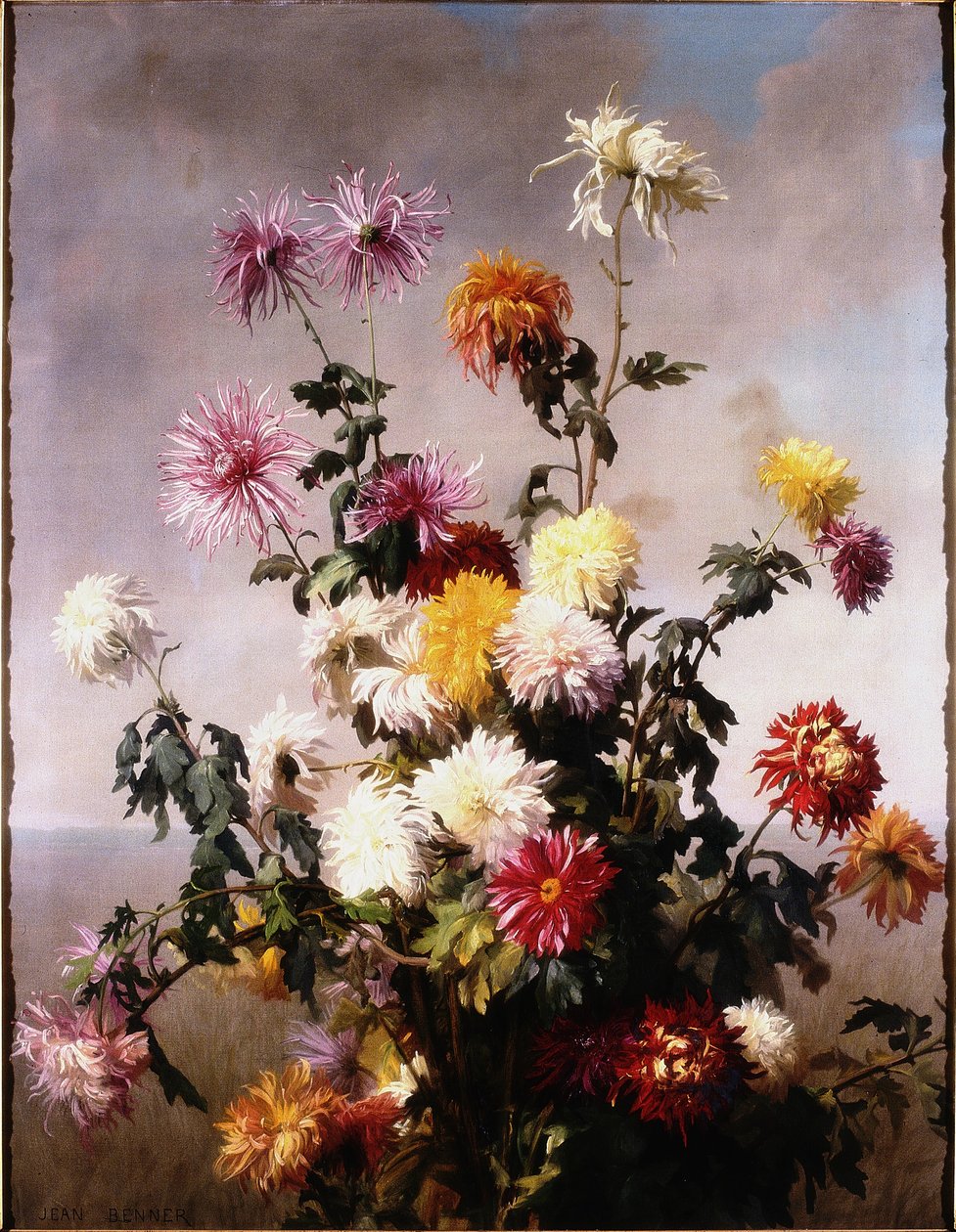 Studie von Blumen von Jean Benner