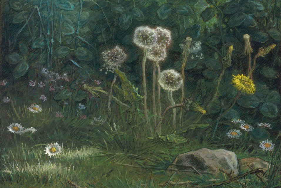 Löwenzahn von Jean Francois Millet