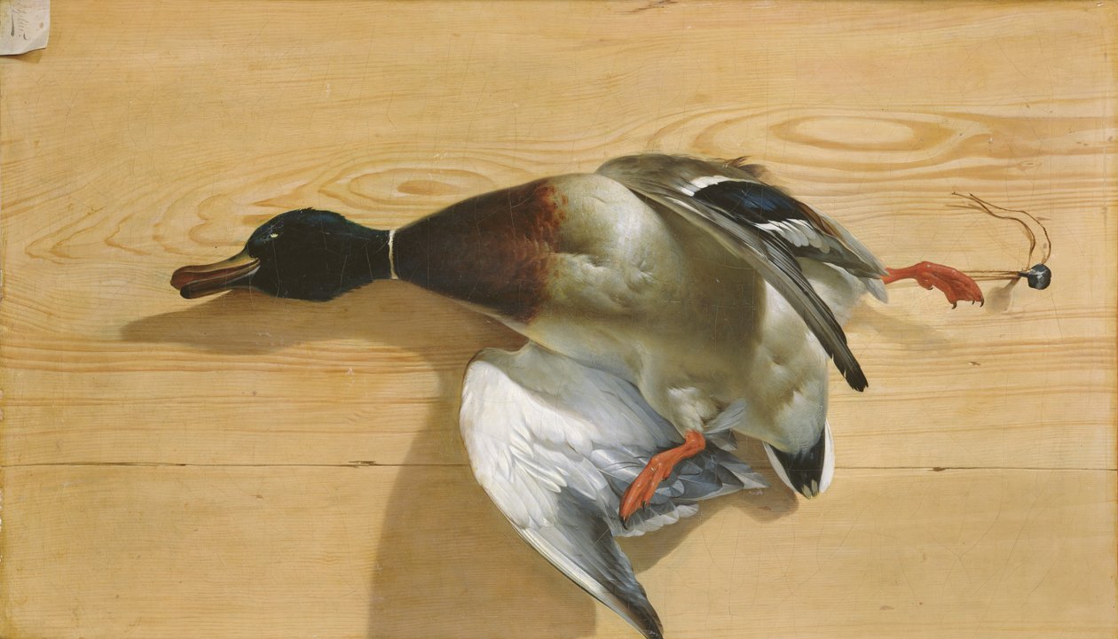 Eine Ente auf einem Kiefernbrett, 1753 von Jean Jacques Bachelier