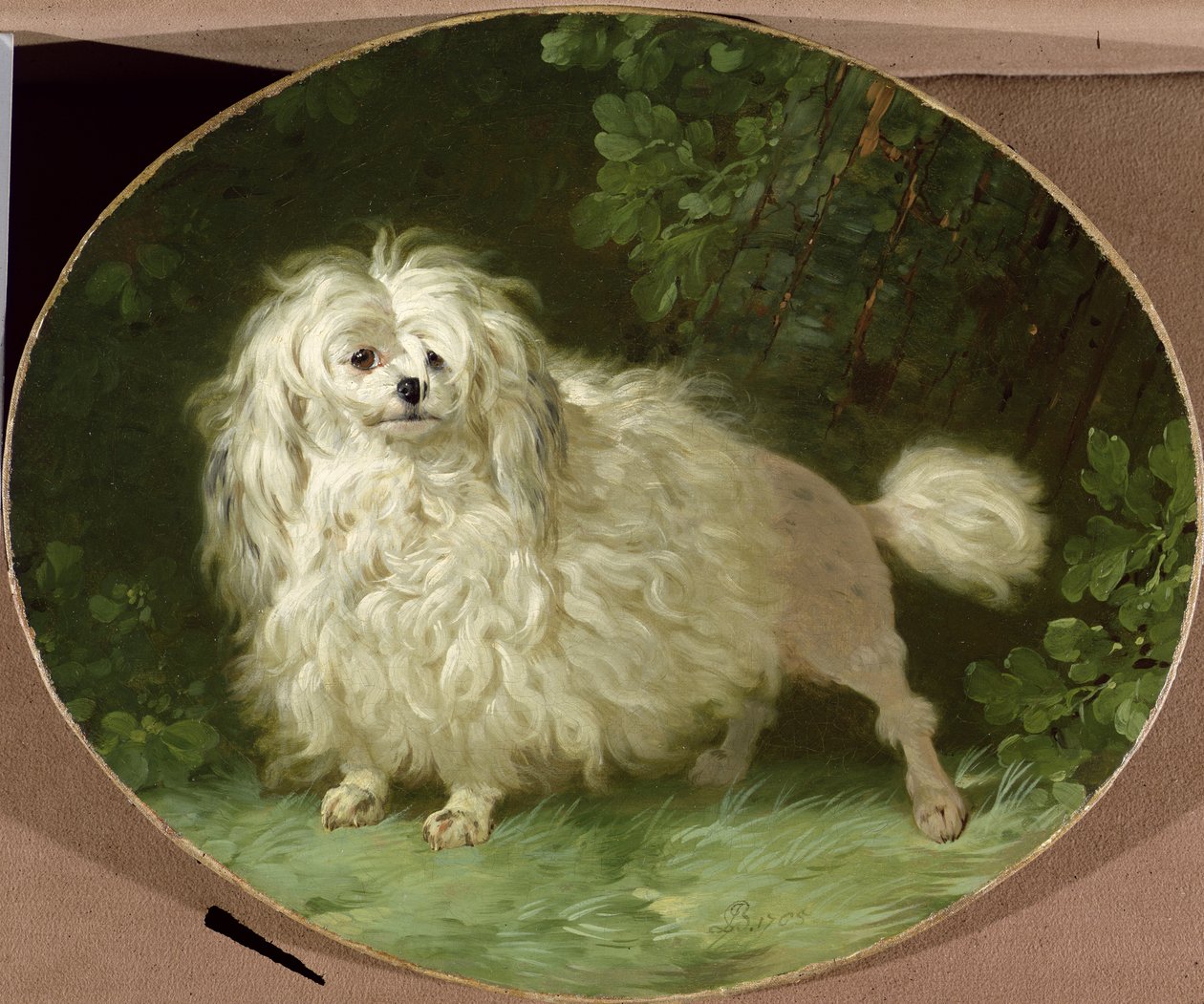 Porträt eines Pudels von Jean Jacques Bachelier