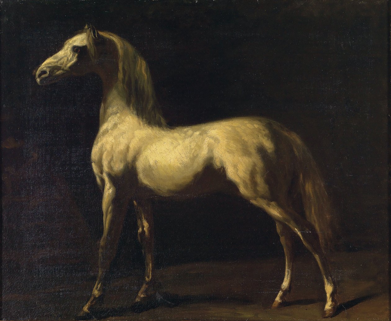 Ein stehendes Pferd von Theodore Gericault