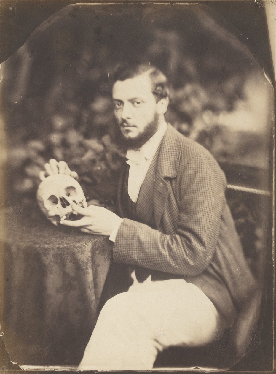 Ein Vanitas, ca. 1856 von Jean Baptiste Frénet