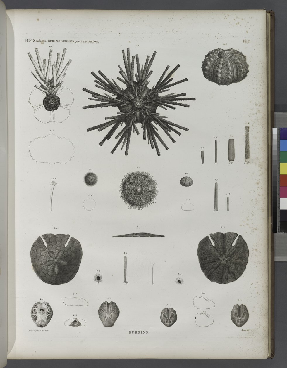Gassenjungen von Jean Cesar Macret