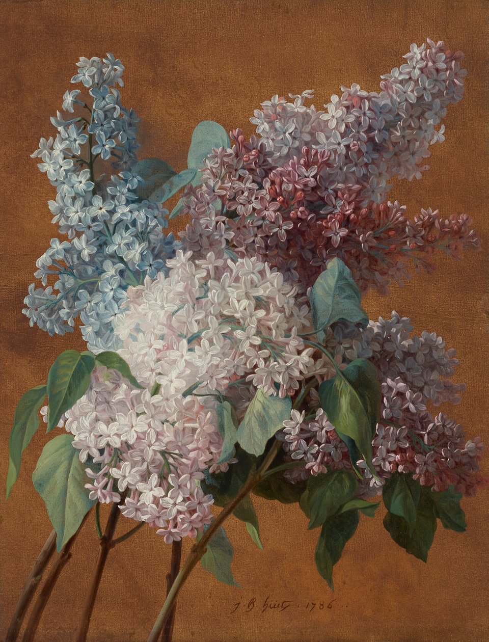 Eine Studie von Flieder von Jean Baptiste Huet