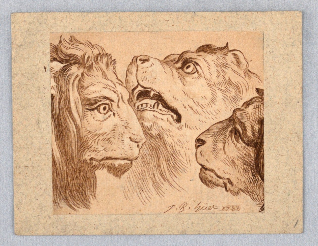 Drei Löwenköpfe von Jean Baptiste Huet