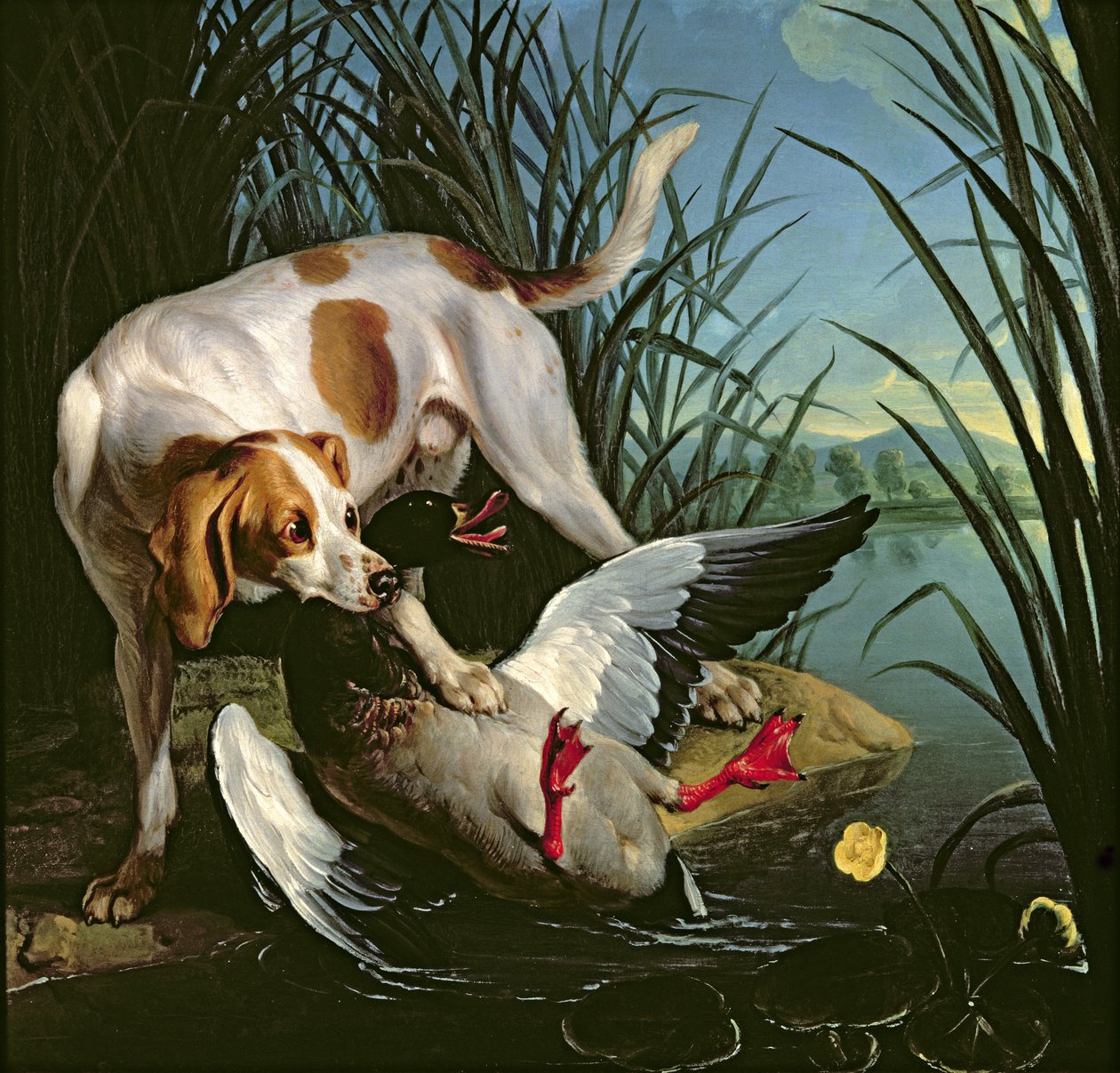 Hund mit einer Wildente von Jean Baptiste Oudry