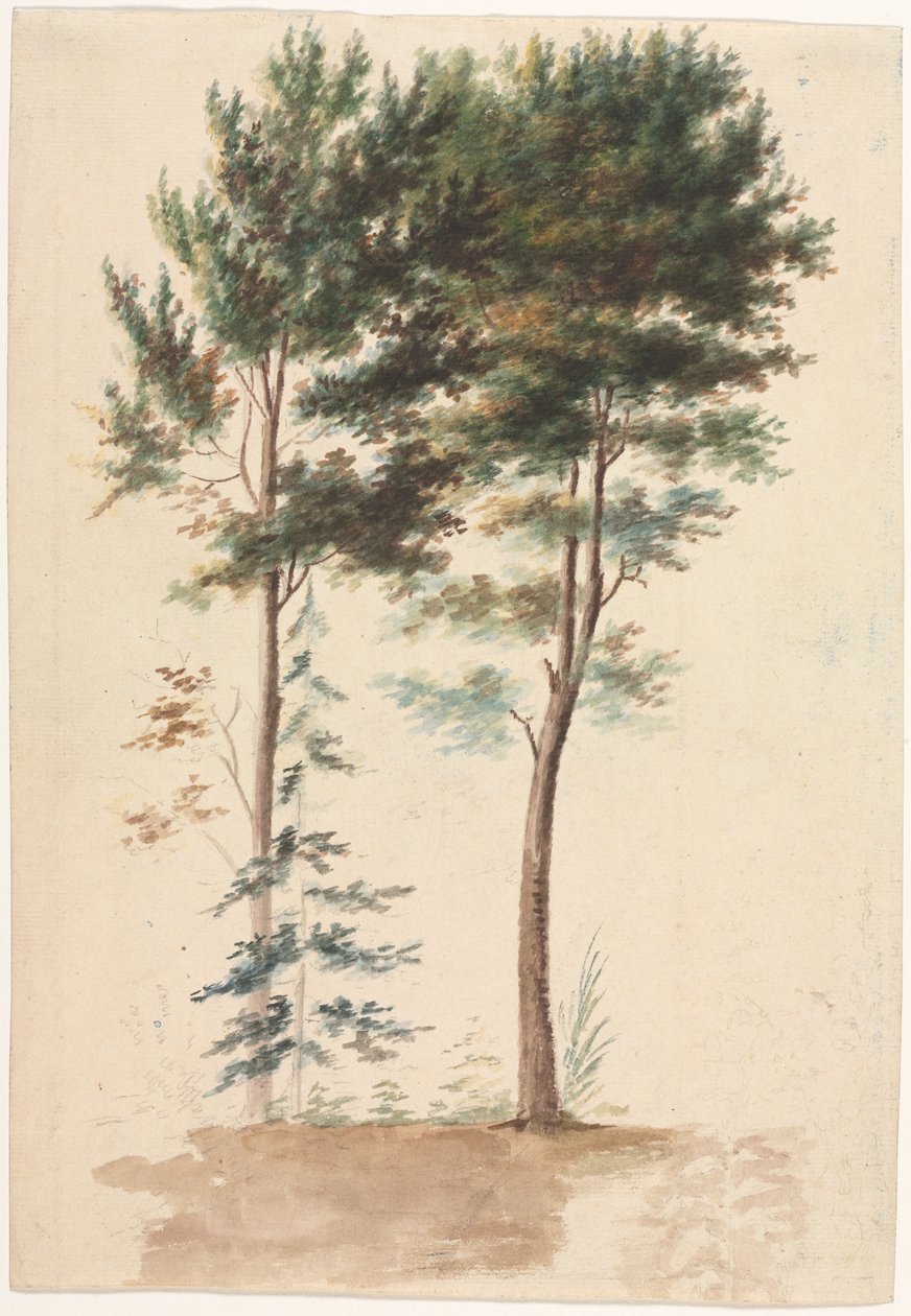 Bäume von Jean Baptiste Pillement
