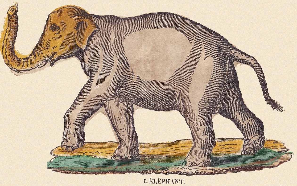 Der Elefant, ca. 1840-1852 von Jean Baptiste Thiebault