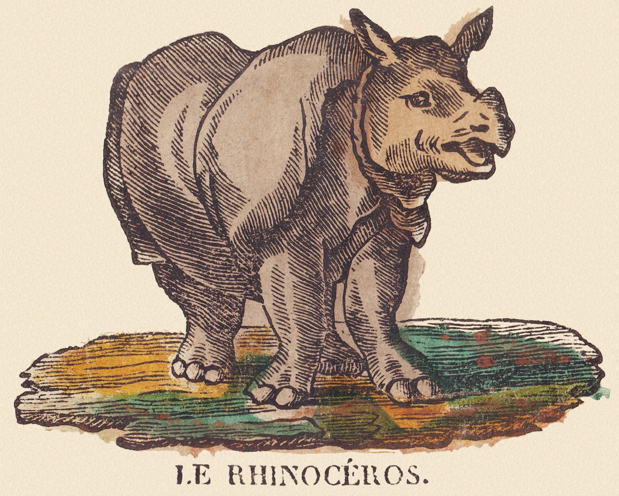 Das Nashorn, ca. 1840-1852 von Jean Baptiste Thiebault