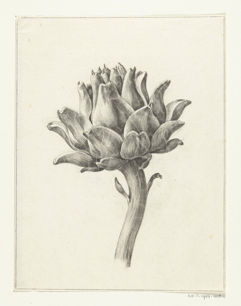Artischocke von Jean Bernard