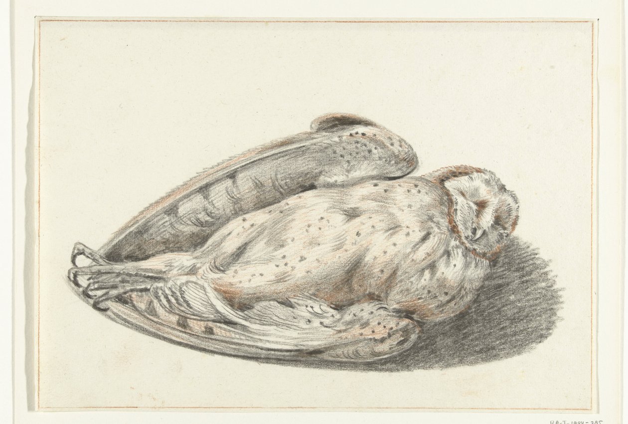 Tote Eule von Jean Bernard