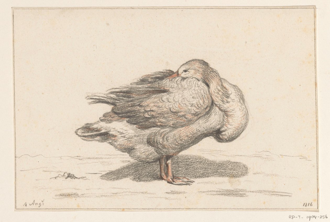 Gans von Jean Bernard