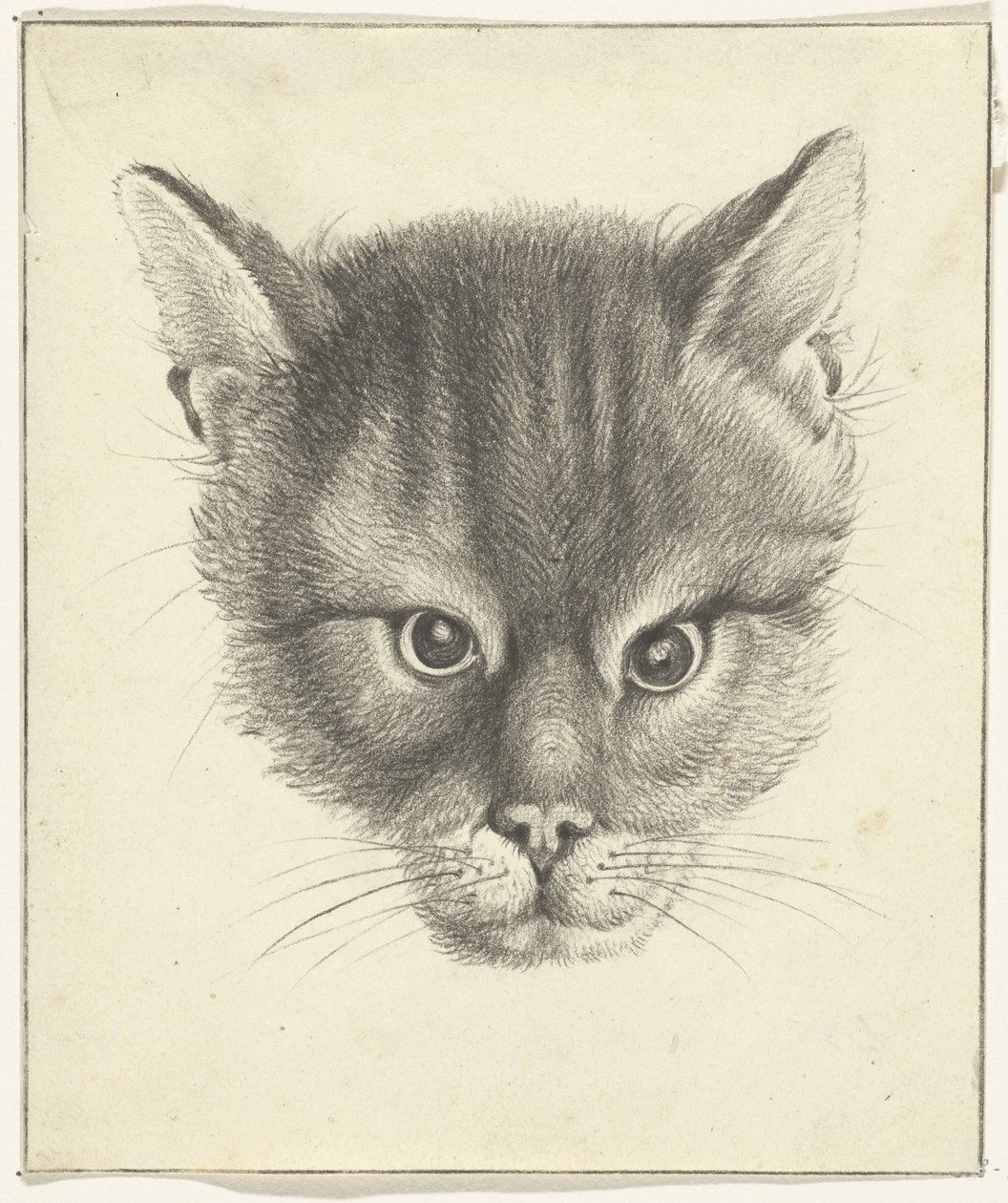 Katzenkopf, von vorne von Jean Bernard