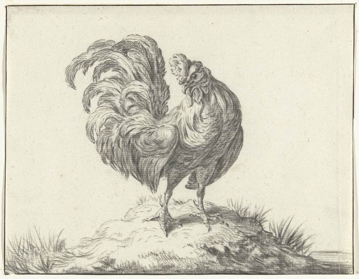 Huhn, stehend auf einem Hügel von Jean Bernard