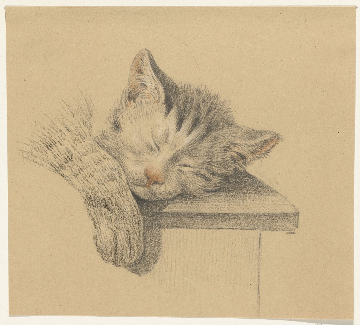 Kopf und Pfote einer schlafenden Katze von Jean Bernard