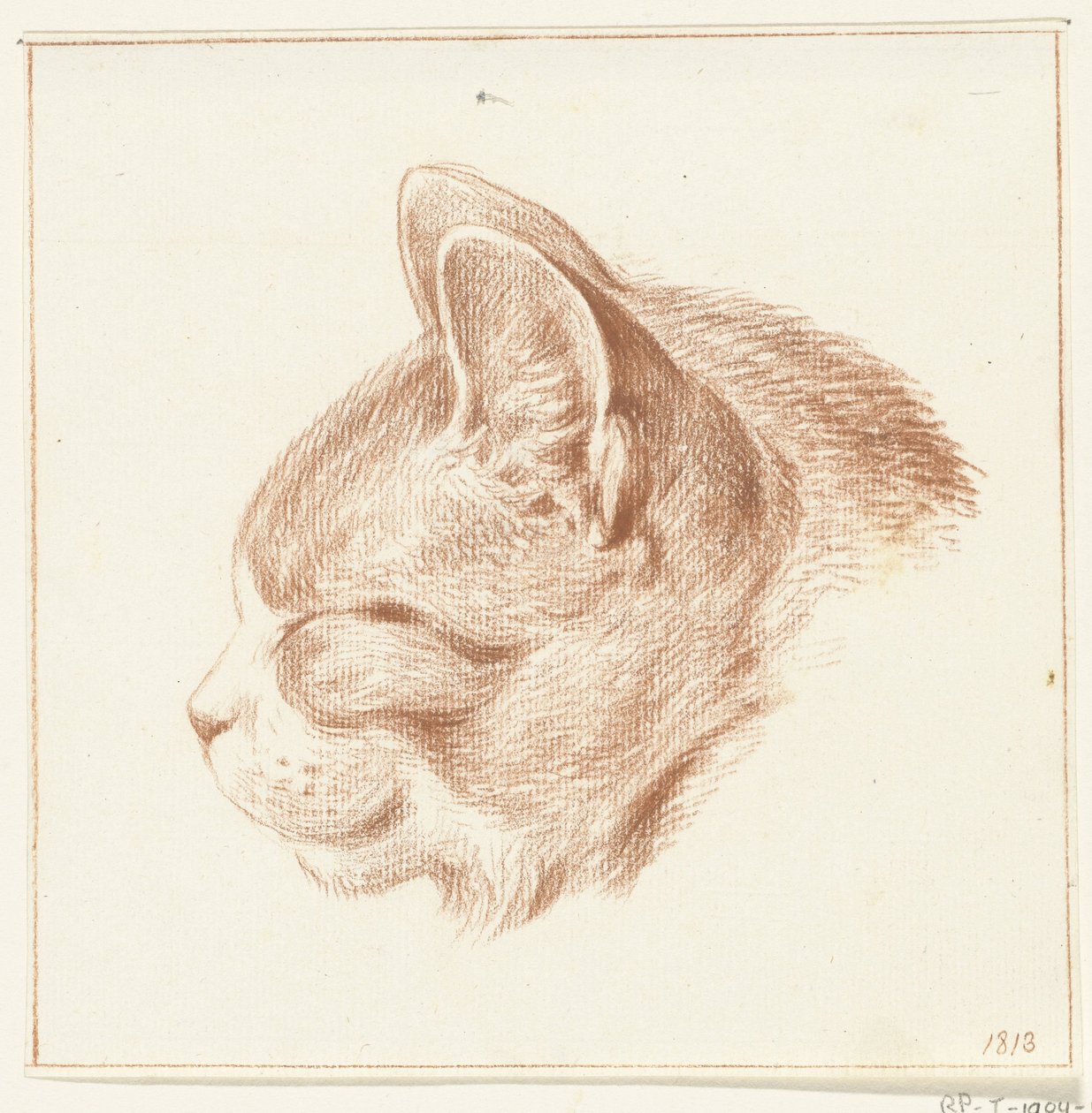 Kopf einer Katze, nach links von Jean Bernard