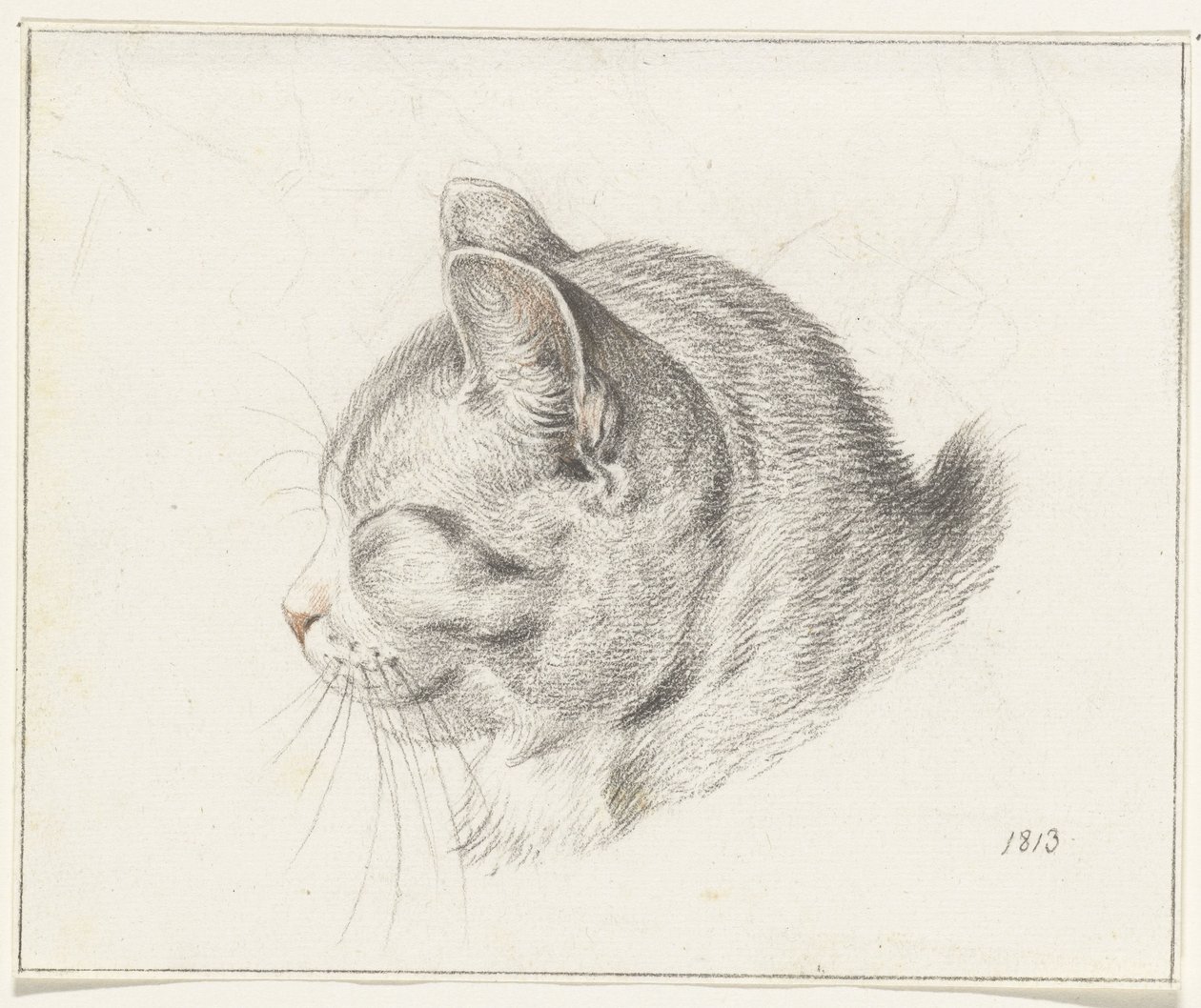 Kopf einer Katze, nach links von Jean Bernard