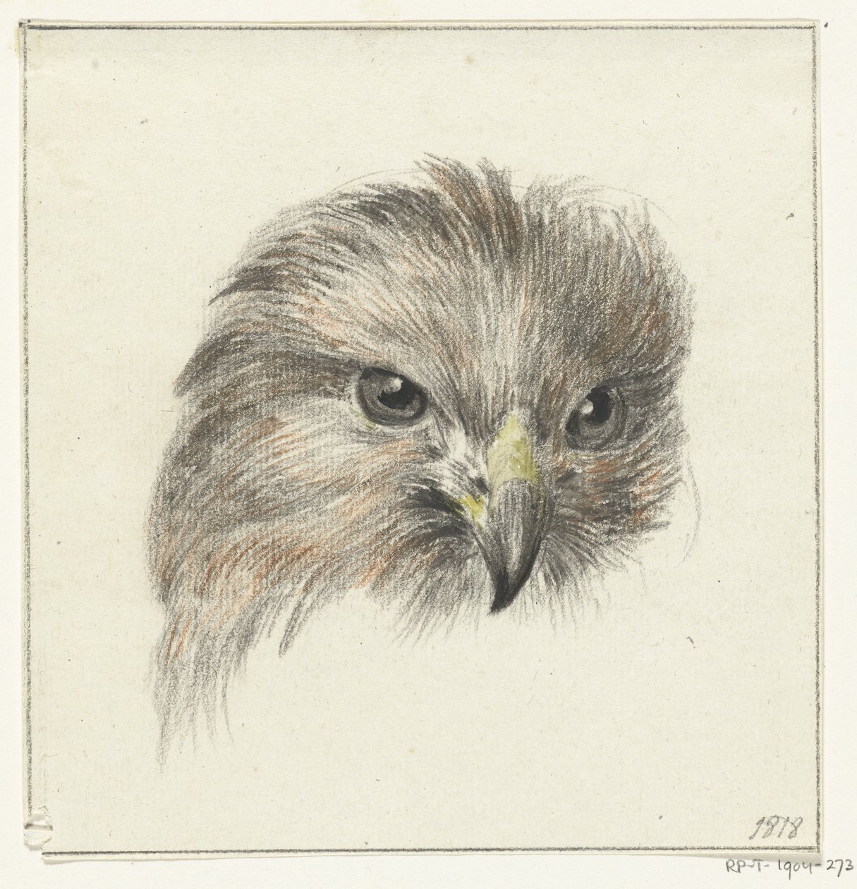 Kopf eines Raubvogels von Jean Bernard