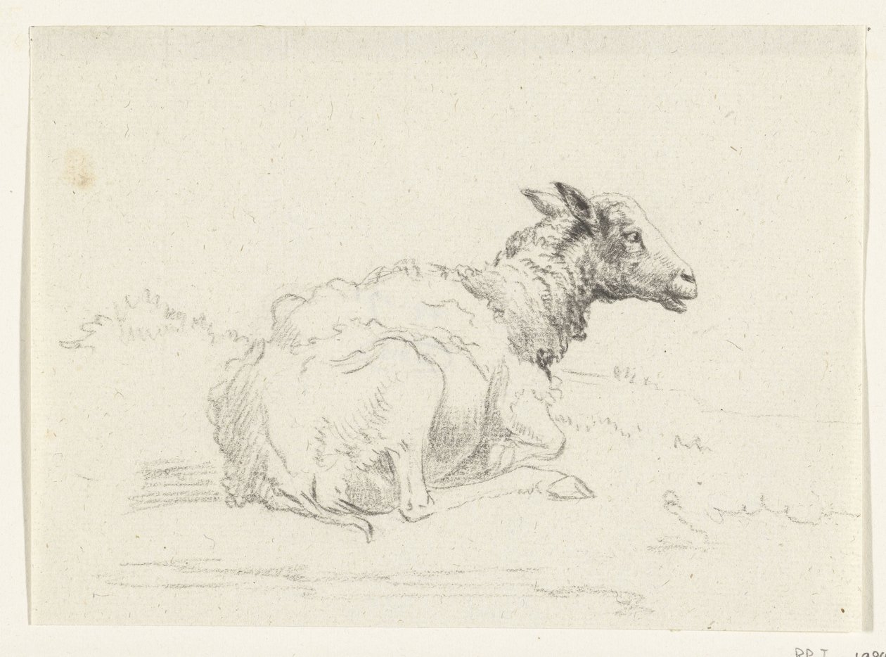 Liegendes Schaf, nach rechts von Jean Bernard