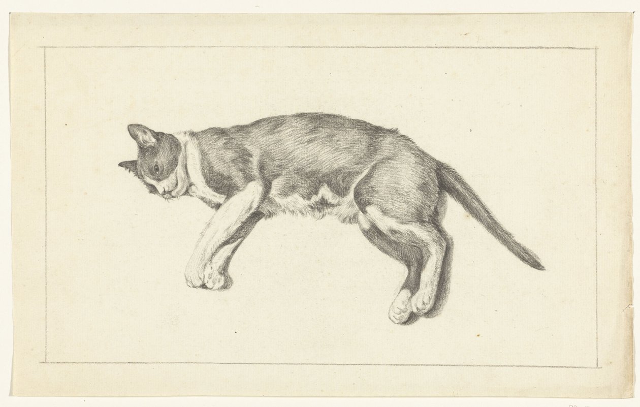 Liegende Katze, nach links, von oben gesehen von Jean Bernard