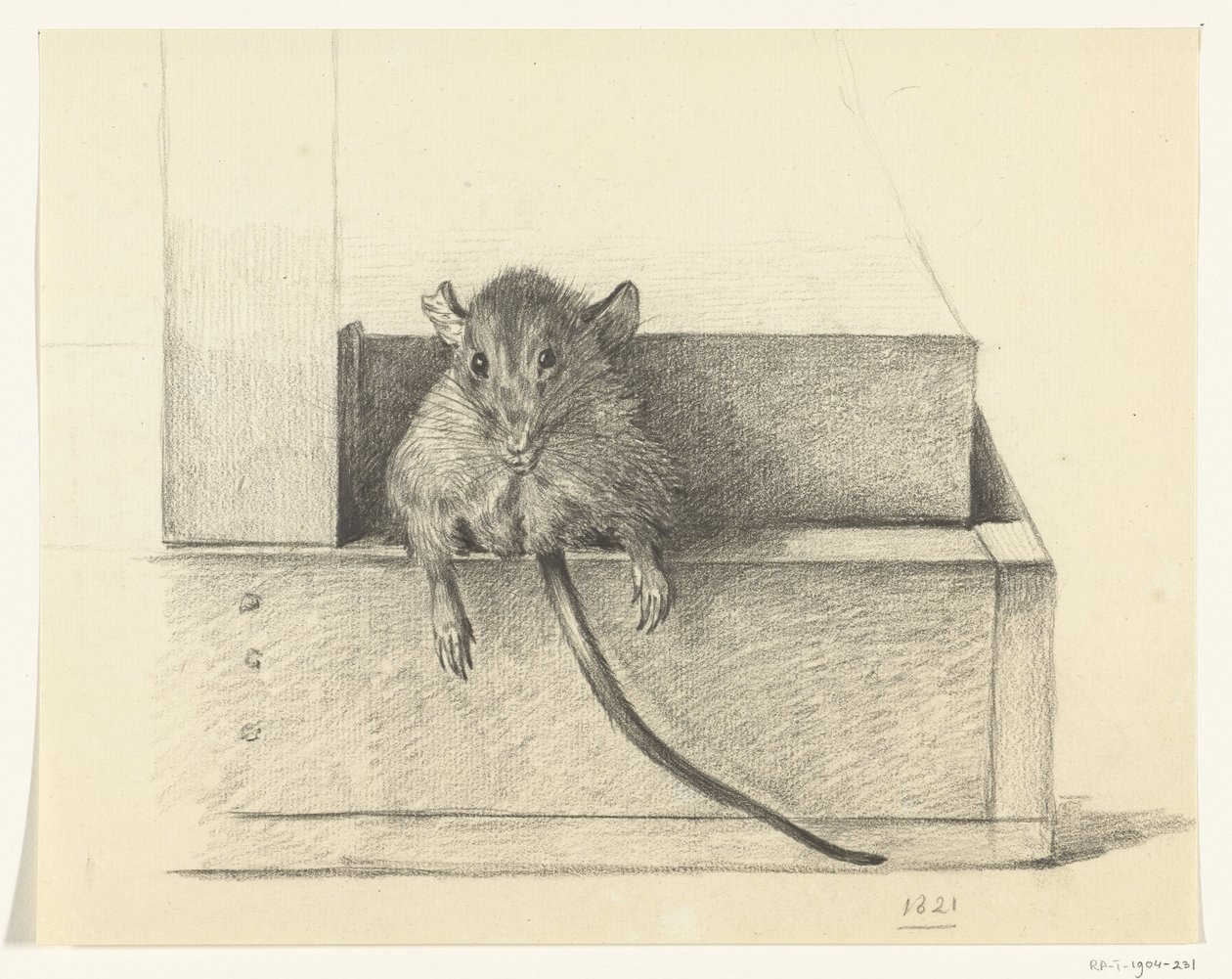 Maus (in einer Falle?) von Jean Bernard