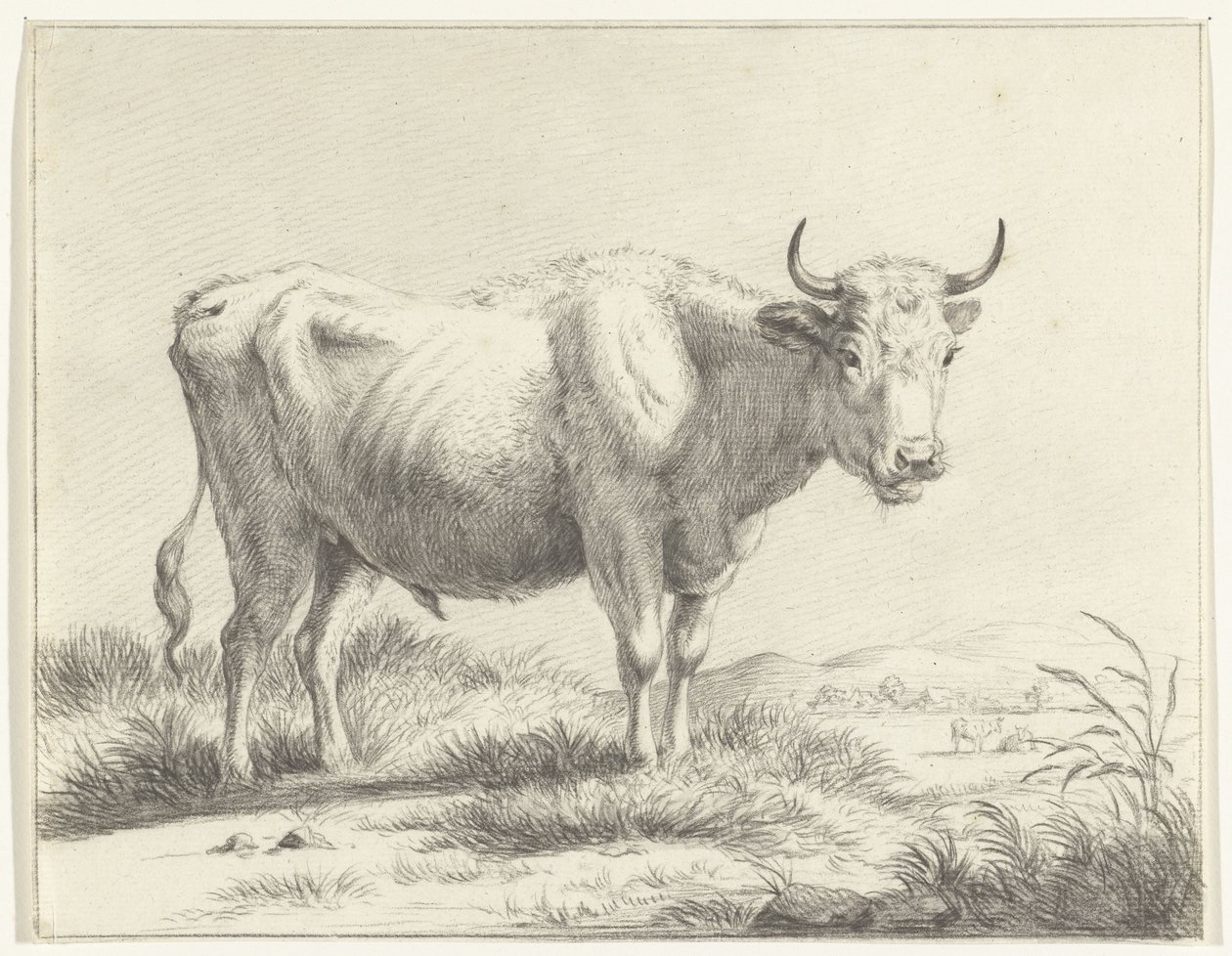 Stehende Kuh, nach rechts von Jean Bernard