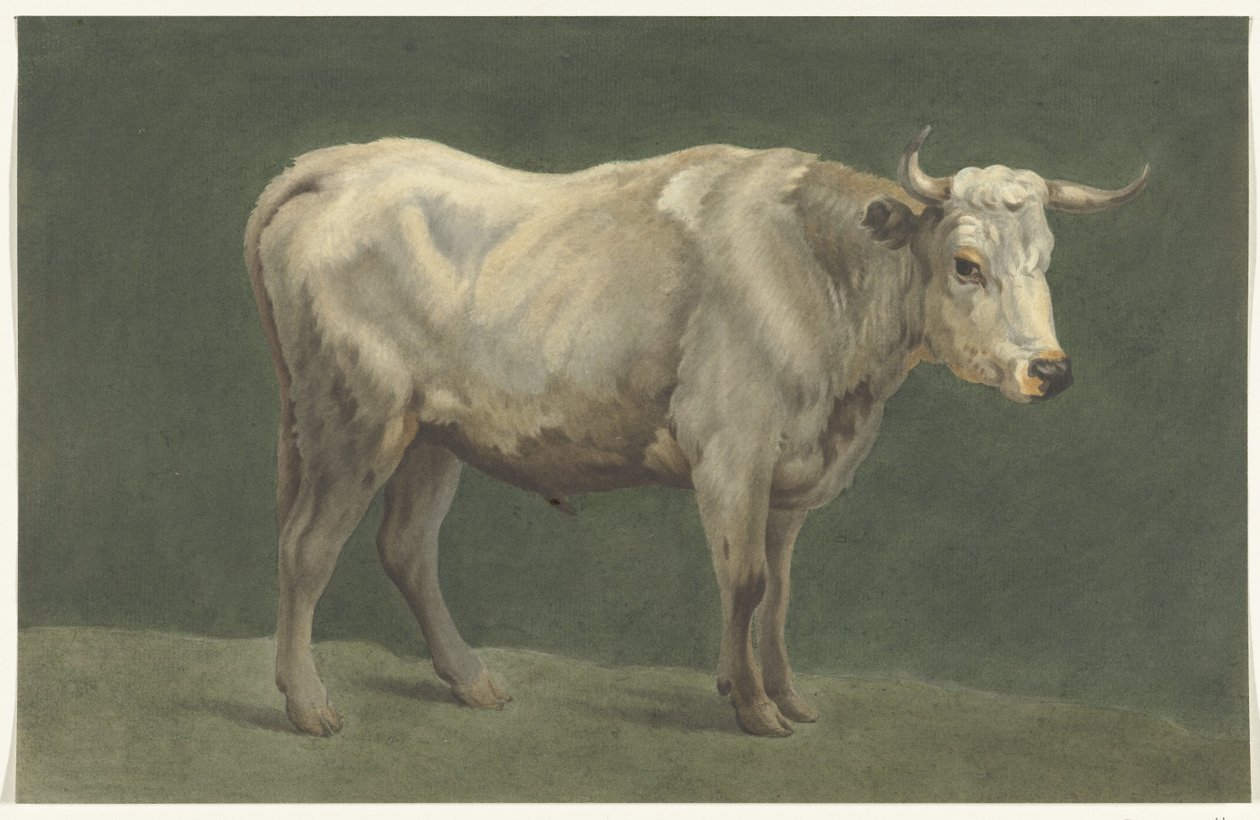 Stehender Stier, nach rechts von Jean Bernard