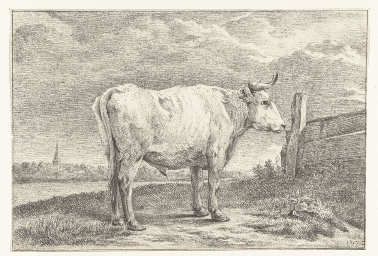 Stehender Stier, nach rechts von Jean Bernard