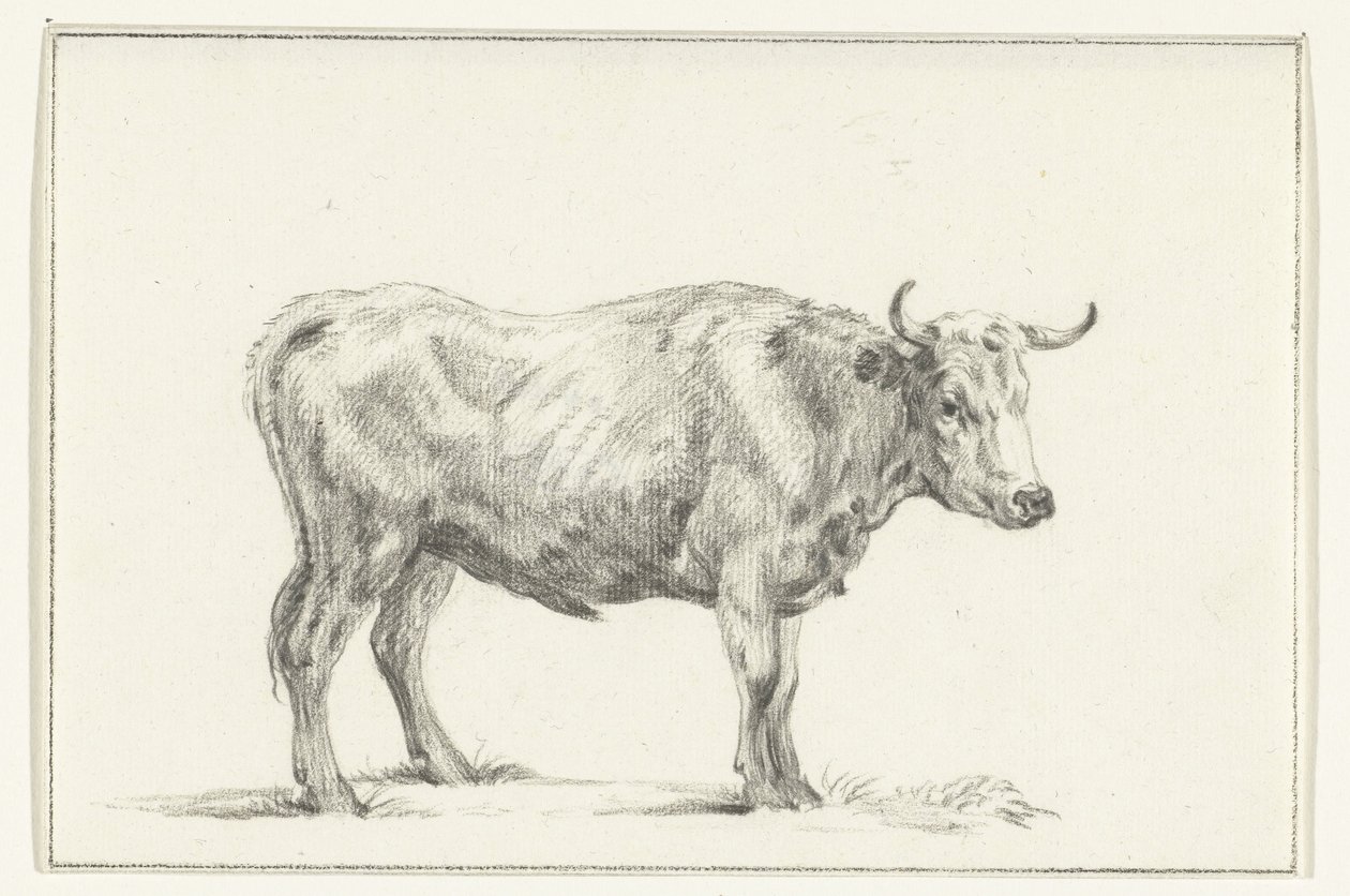 Stehender Stier, nach rechts von Jean Bernard