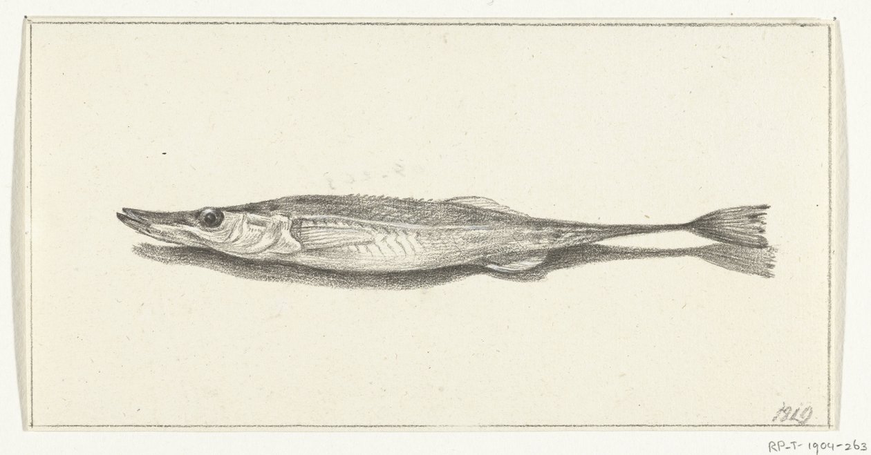 Fisch von Jean Bernard
