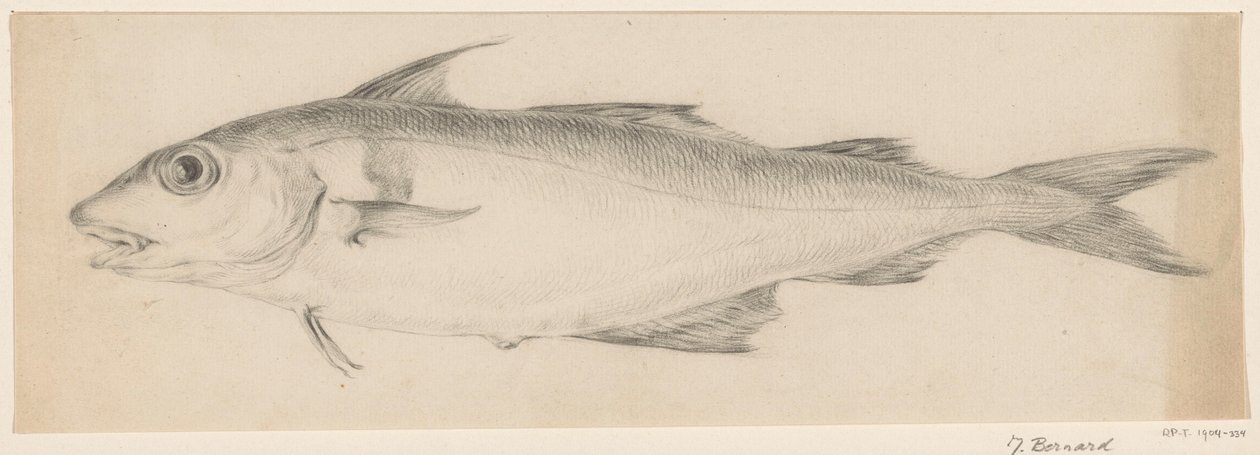 Fisch, nach links von Jean Bernard