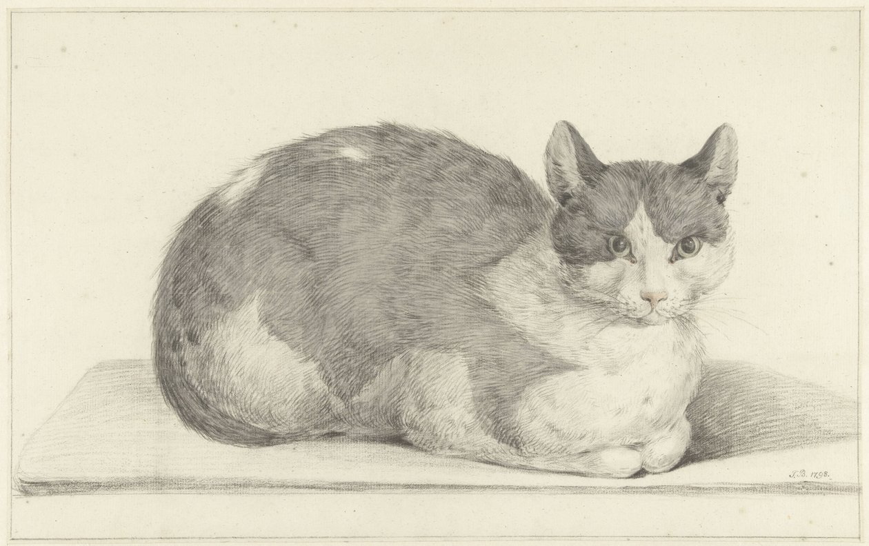 Sitzende Katze, nach rechts von Jean Bernard