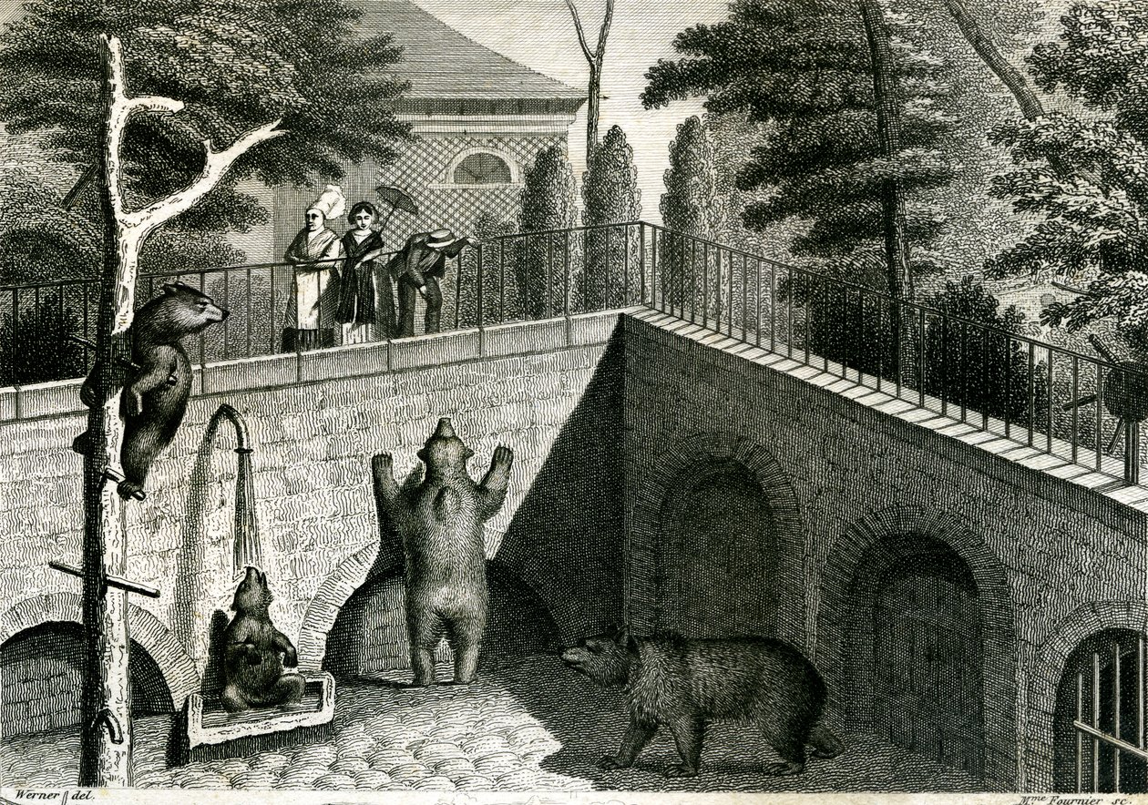 Bärenhöhle in einem Zoo von Jean Charles Werner