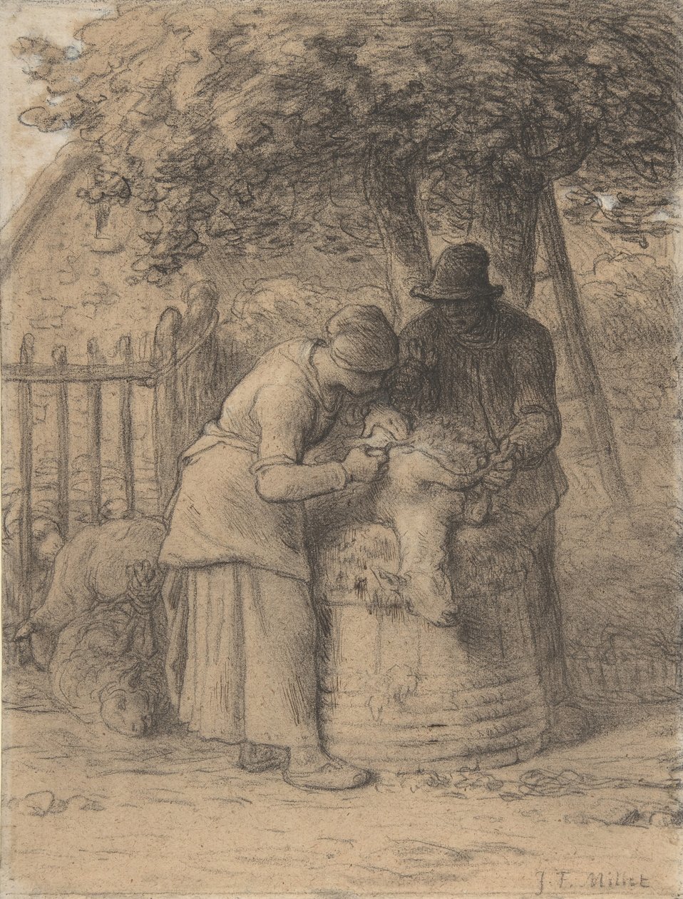 Schafschur unter einem Baum, ca. 1854 von Jean Francois Millet