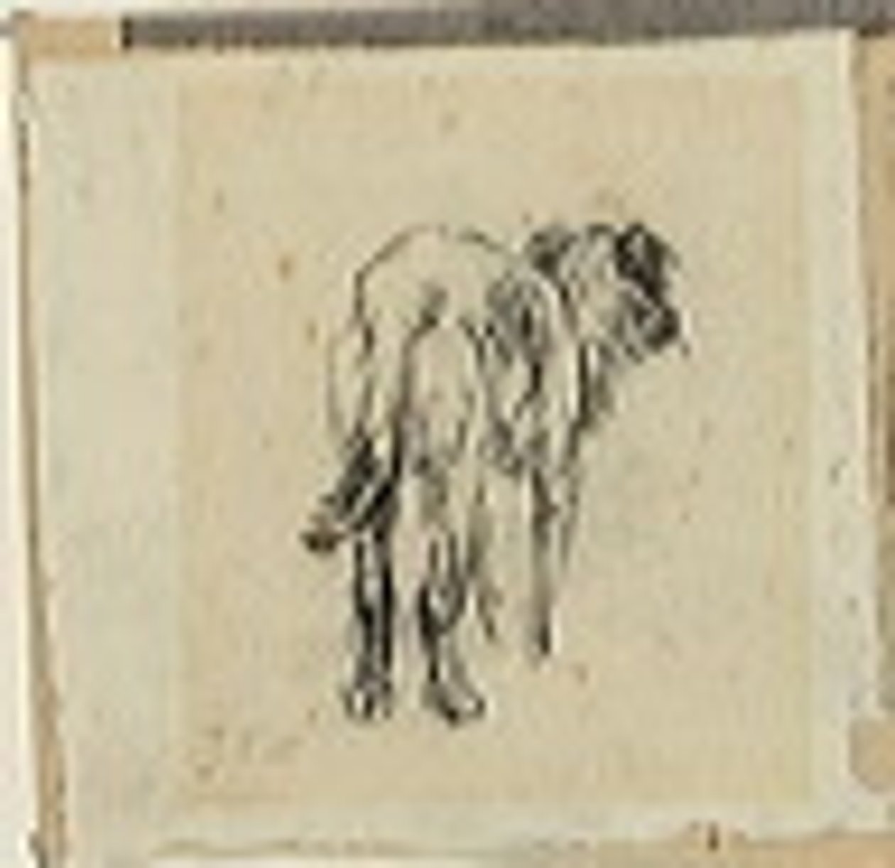 Studie eines Hundes von Jean Francois Millet
