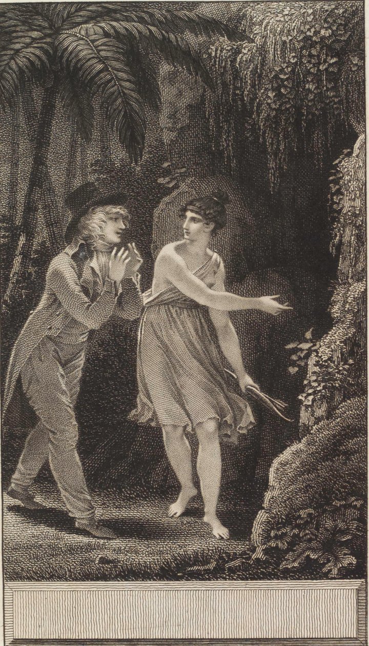 Der Indianerstamm: oder, Edward und Stellina von Jean Godefroy