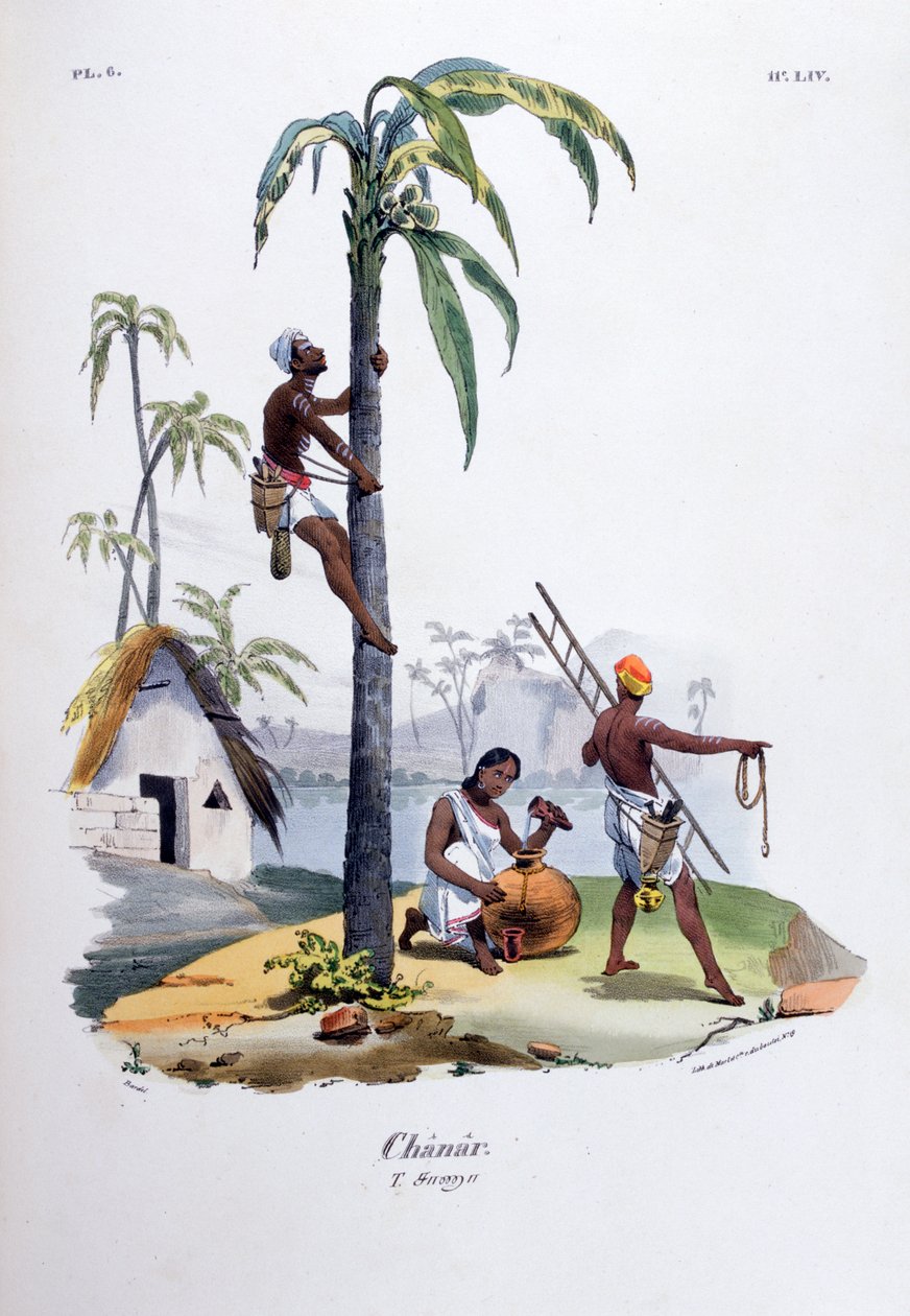Chanar, 1828 von Jean Henri Marlet