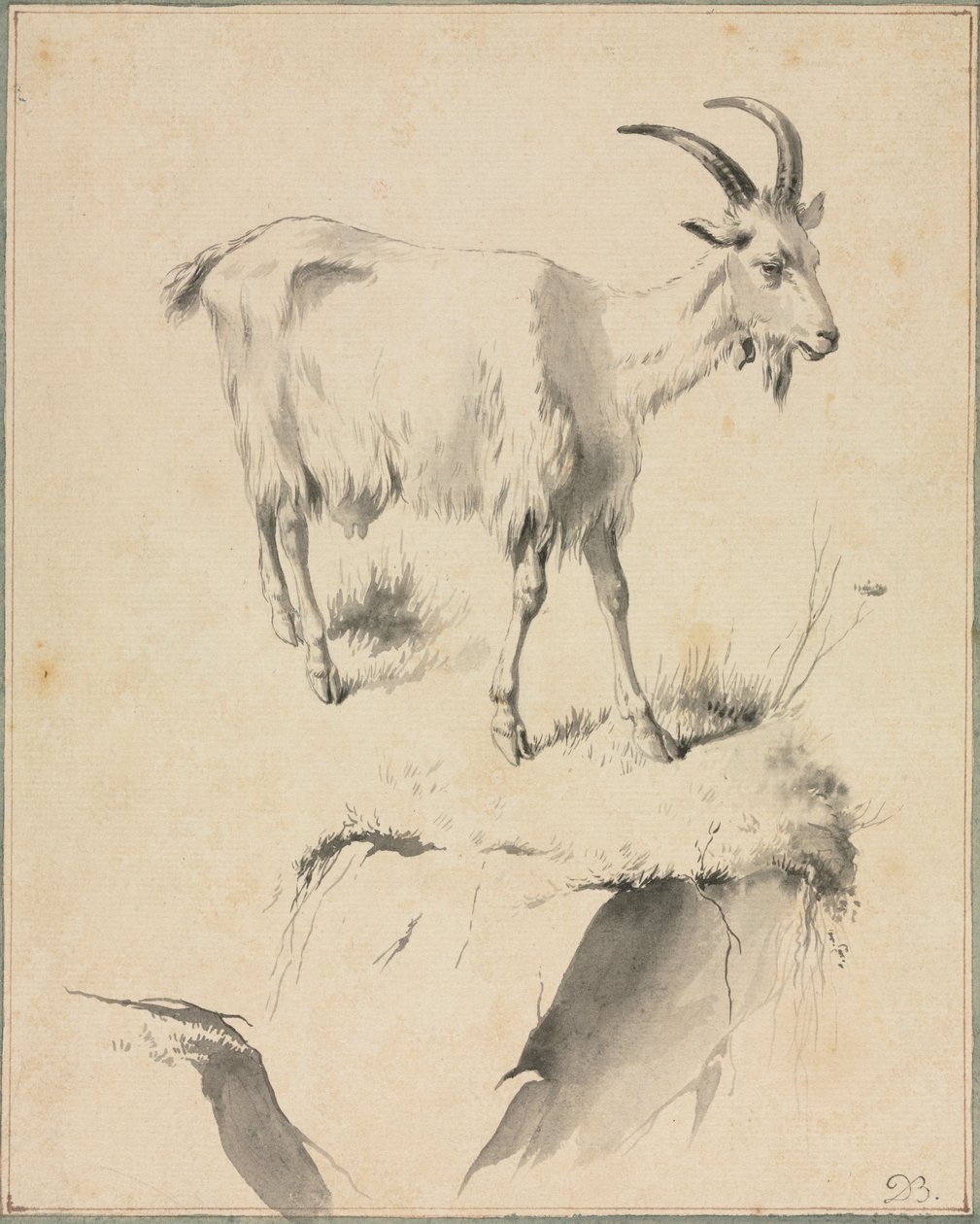 Studie einer Ziege von Jean Jacques de Boissieu