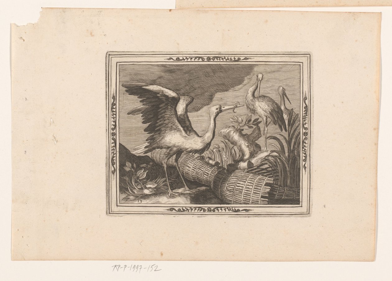 Störche (Tierdarstellungen) von Jean Leclerc