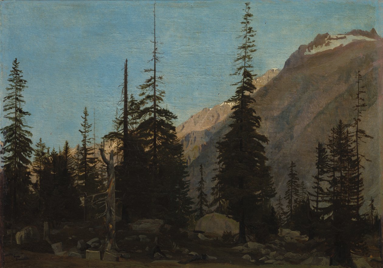 Alpine Landschaft: Die Handegg, Schweiz, 1850er von Jean Leon Gerome