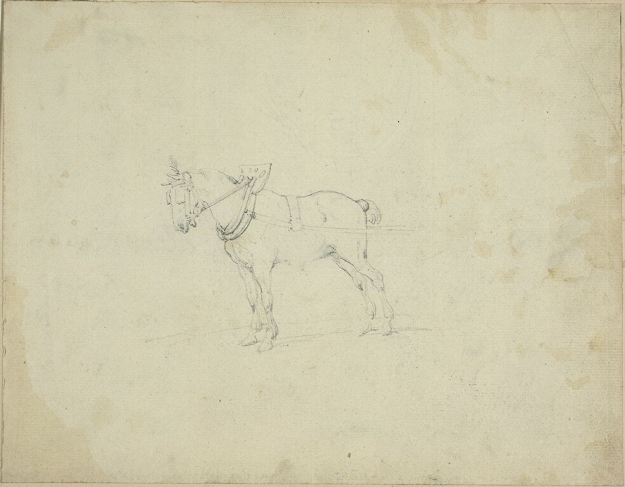 Zugpferd von Jean Louis André Théodore Géricault