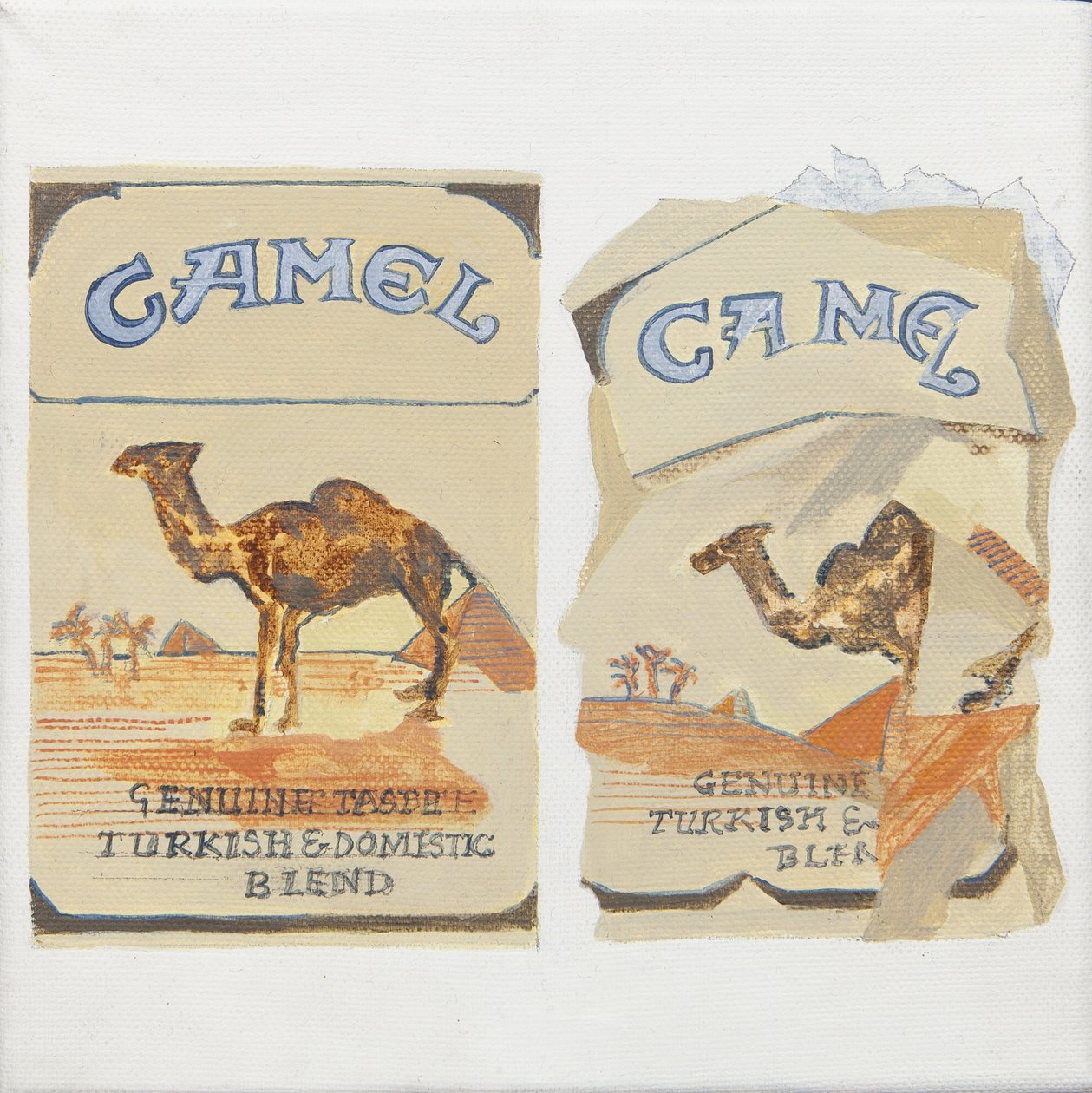 Camel Zigarettenpackungen von Jennifer Abbott