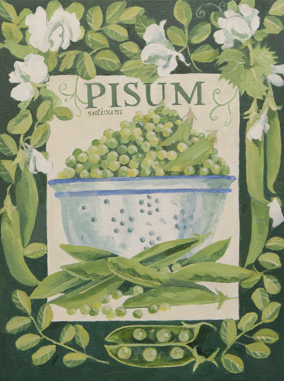 Pisum, Erbsen von Jennifer Abbott