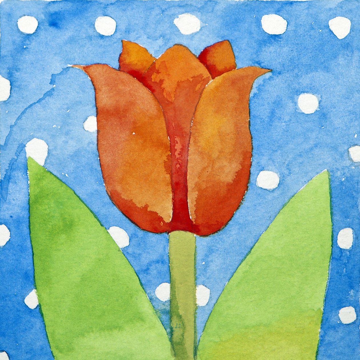 Tulpe mit blau-weißem Hintergrund von Jennifer Abbott