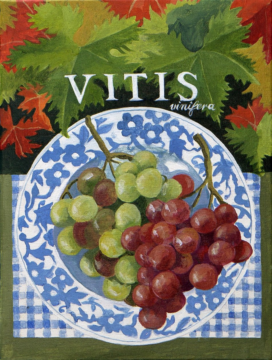 Vitus (Trauben), 2014 von Jennifer Abbott