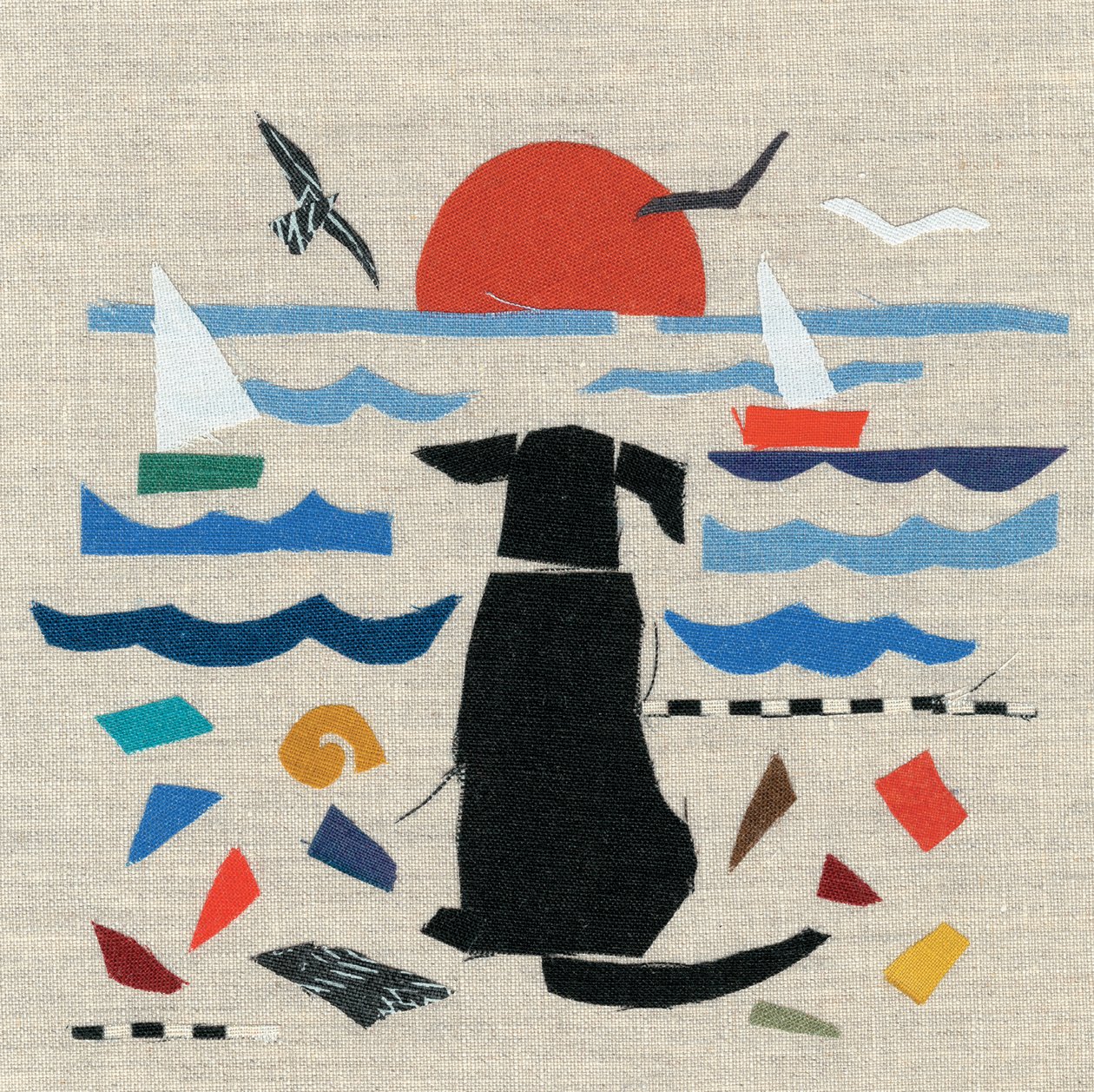Seehund von Jenny Frean