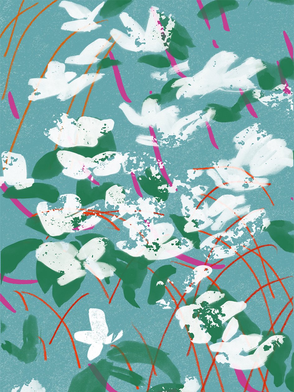 Teal Tales von Jenny Frean