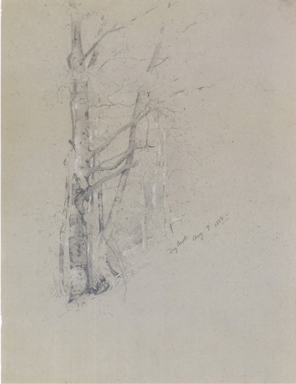 Trockener Bach, 1888 von Jervis McEntee