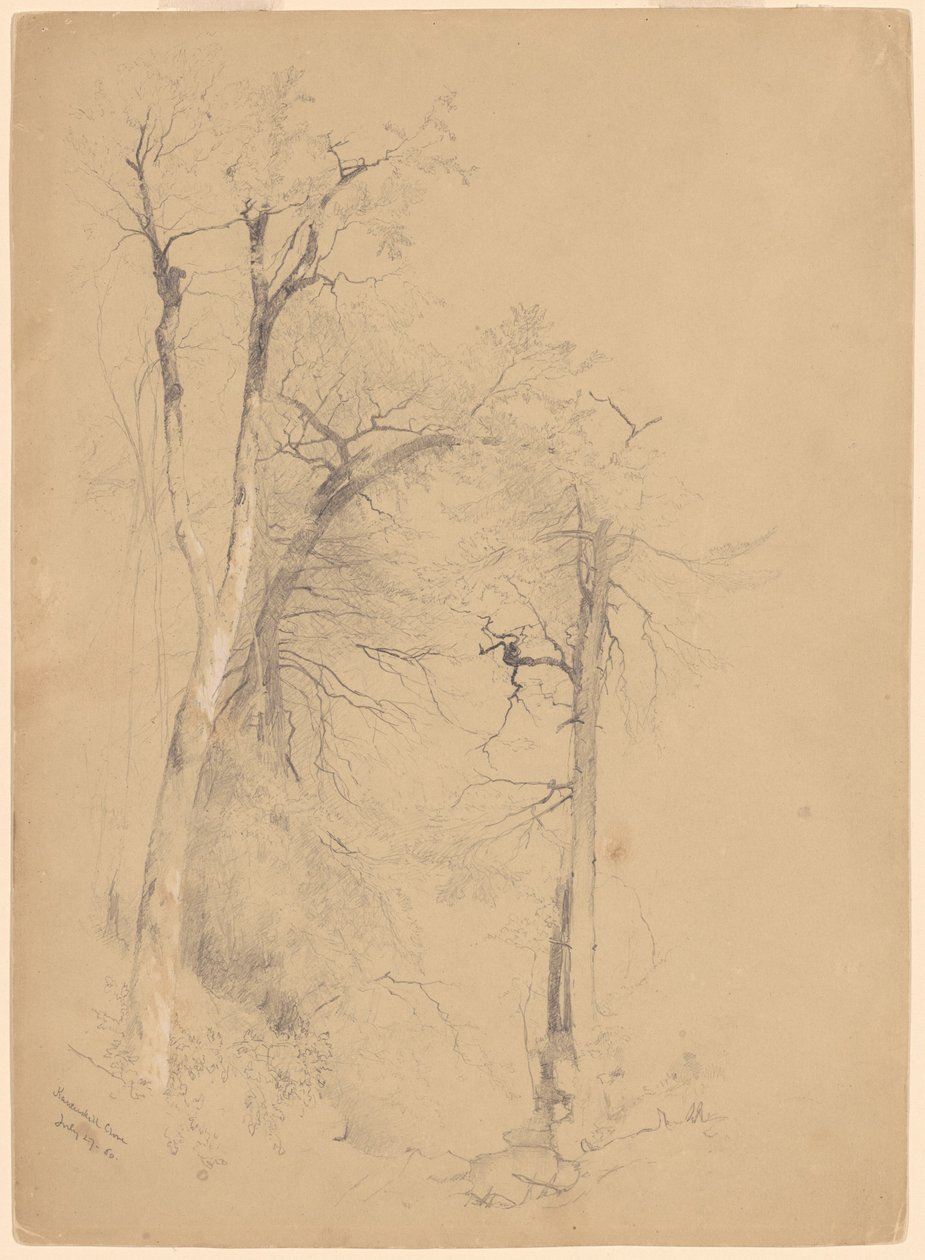 Kauterskill-Schlucht von Jervis McEntee