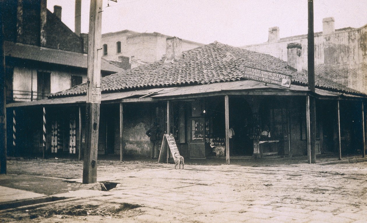 New Orleans von Jessie Tarbox Beals